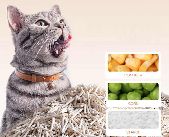 Latest company blogs about What style of cat litter is best?