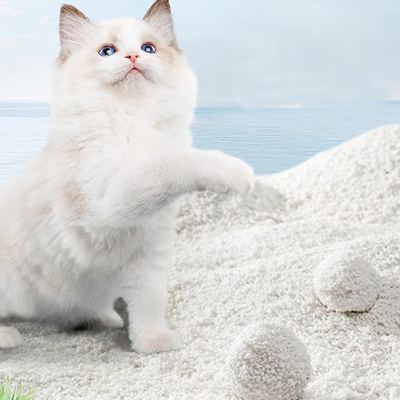 Tierbedarf Kassava Katzenstreu Sand OEM ODM Export Fabrik Lieferant Spülbar Effiziente Geruchskontrolle