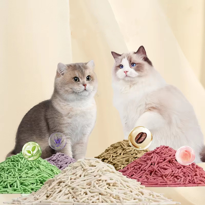 이름